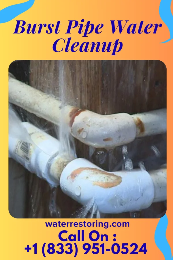 Burst Pipe Water Cleanup in Meridian, TX
