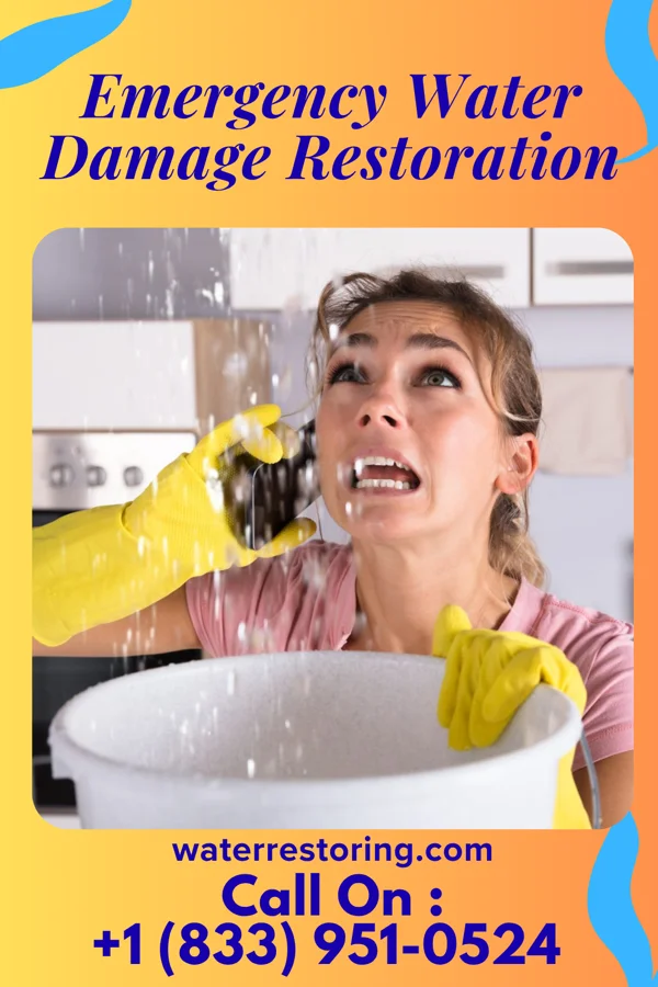 Emergency Water Damage Restoration in Meridian, TX