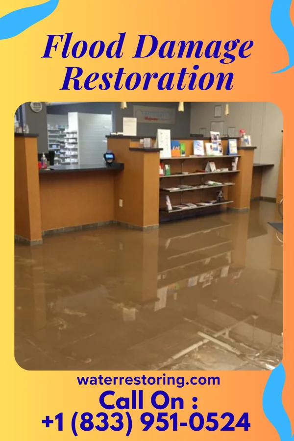 Flood Damage Restoration in Meridian, TX