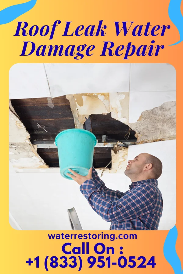 Roof Leak Water Damage Repair in Meridian, TX