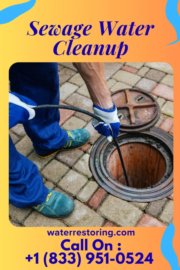 Sewage Water Cleanup in Meridian, TX